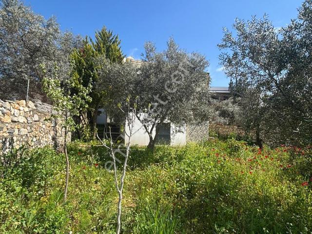 Torbali, İzmir içerisinde satılık Villa