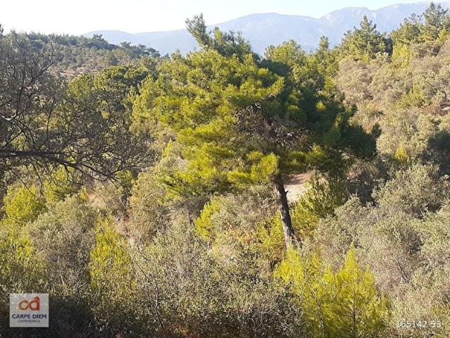 Torbali, İzmir içerisinde satılık mülk
