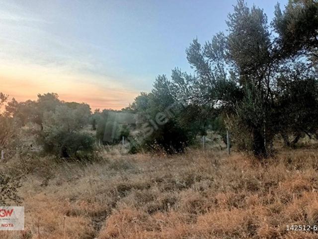 Torbali, İzmir içerisinde satılık mülk