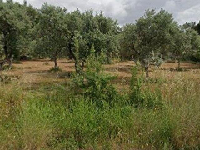 Torbali, İzmir içerisinde satılık Arsa