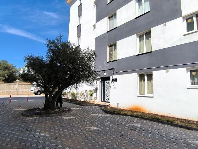 İnönü Mahallesi, Torbalı içerisinde kiralık mülk