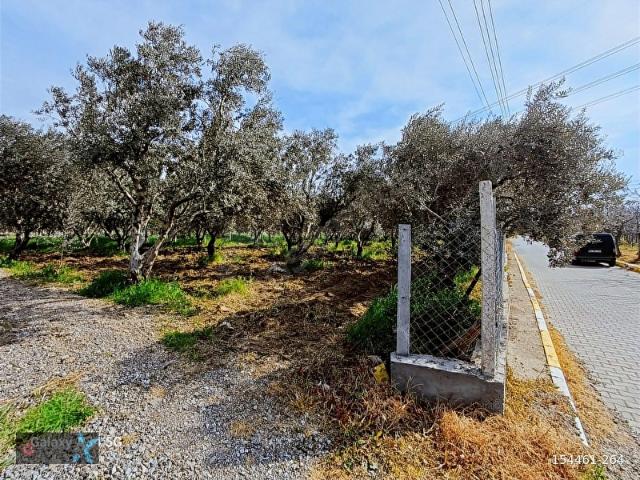 Torbali, İzmir içerisinde satılık Arsa