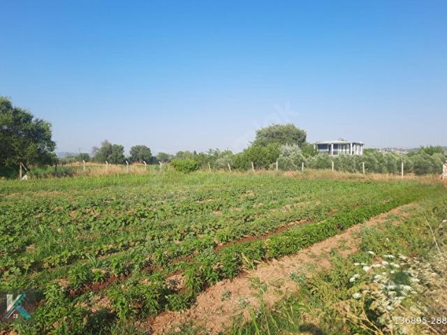 Torbali, İzmir içerisinde satılık Arsa