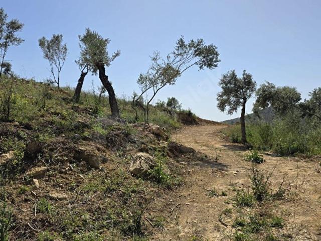 Torbali, İzmir içerisinde satılık mülk