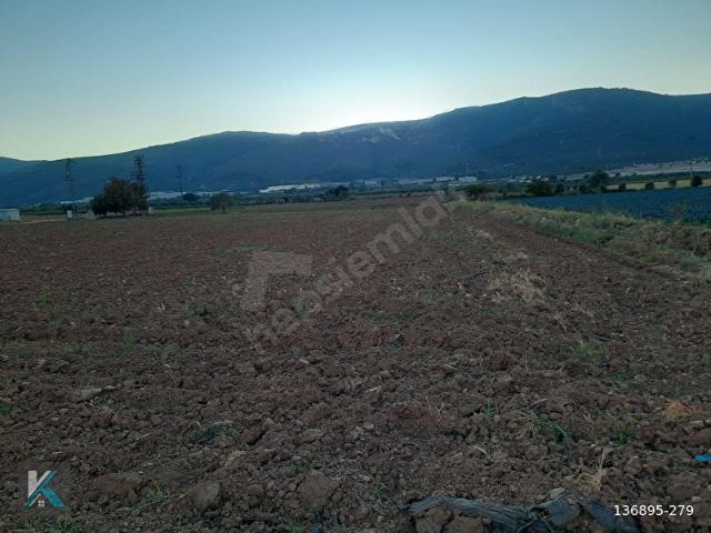 Torbali, İzmir içerisinde satılık Arsa