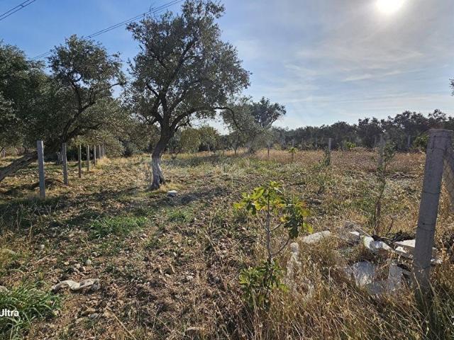 Torbali, İzmir içerisinde satılık Arsa
