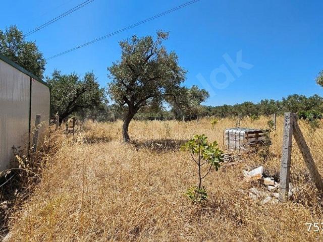 Torbali, İzmir içerisinde satılık Arsa