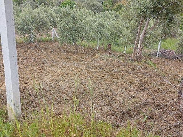 Torbali, İzmir içerisinde satılık mülk