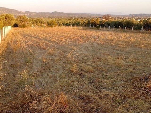 Torbali, İzmir içerisinde satılık Arsa