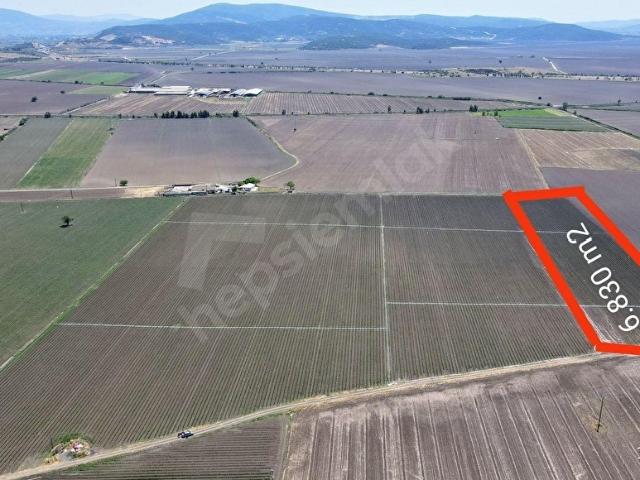 Torbali, İzmir içerisinde satılık Arsa