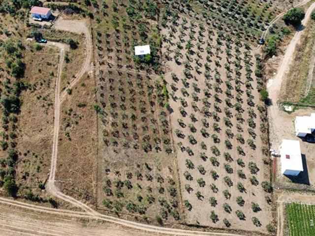 Torbali, İzmir içerisinde satılık Arsa