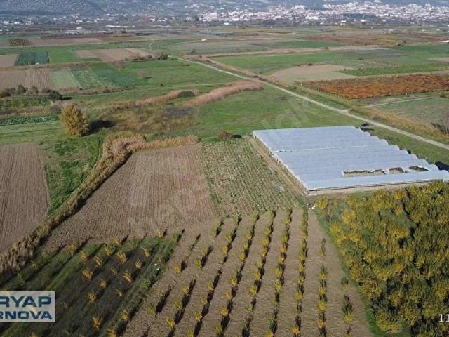 Torbali, İzmir içerisinde satılık Arsa