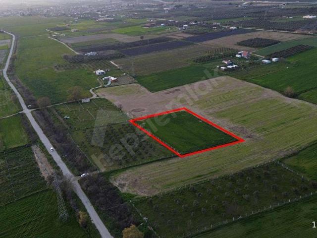 Torbali, İzmir içerisinde satılık Arsa