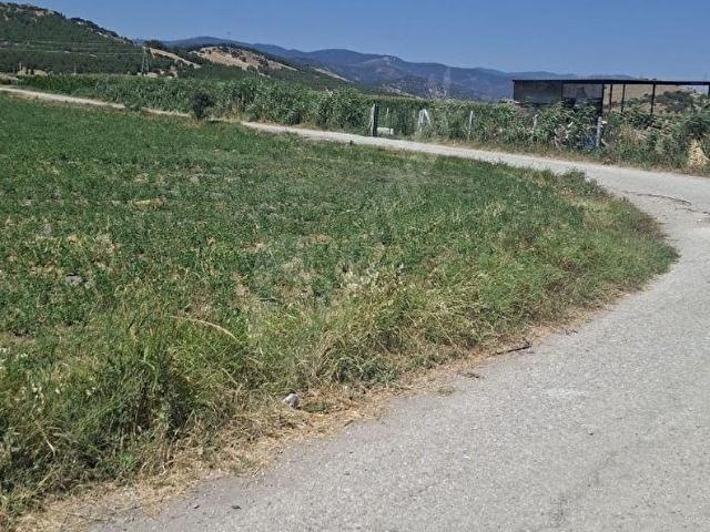 Torbali, İzmir içerisinde satılık Arsa