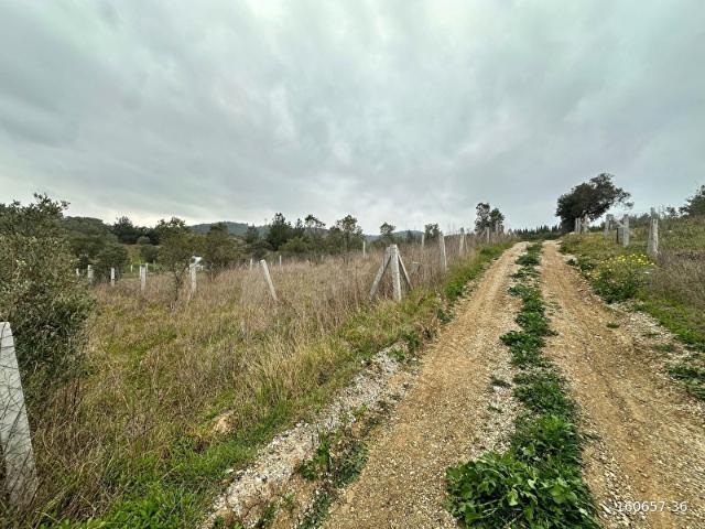 Torbali, İzmir içerisinde satılık Arsa