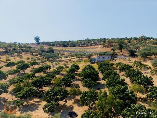 Çakırbeyli Mahallesi, Torbalı içerisinde satılık mülk