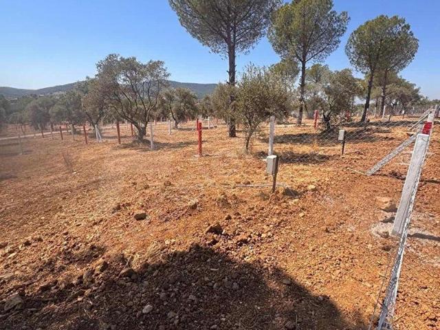 Torbali, İzmir içerisinde satılık Arsa