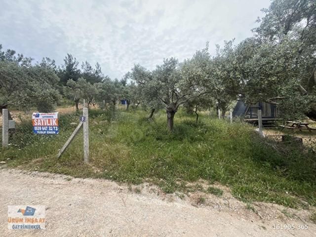 Torbali, İzmir içerisinde satılık Arsa