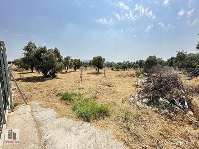 Torbali, İzmir içerisinde satılık Arsa
