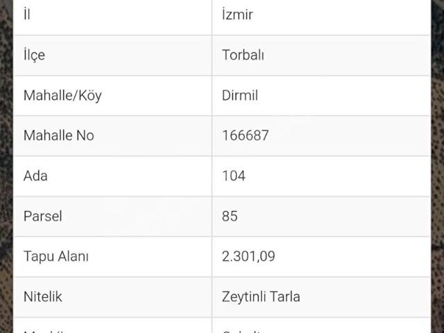 Torbali, İzmir içerisinde satılık mülk
