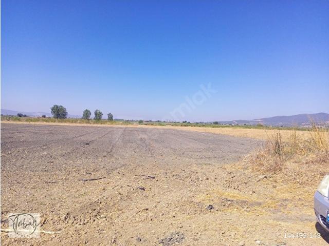Arslanlar Mahallesi, Torbalı içerisinde satılık Arsa