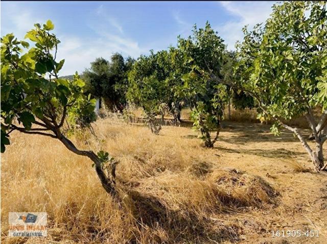 Torbali, İzmir içerisinde satılık mülk