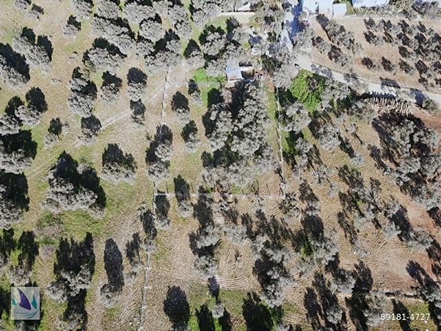 Torbali, İzmir içerisinde satılık Arsa
