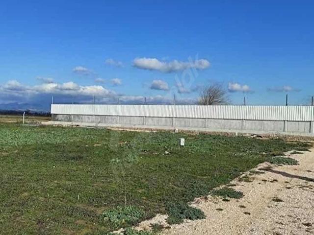 Torbali, İzmir içerisinde satılık Arsa