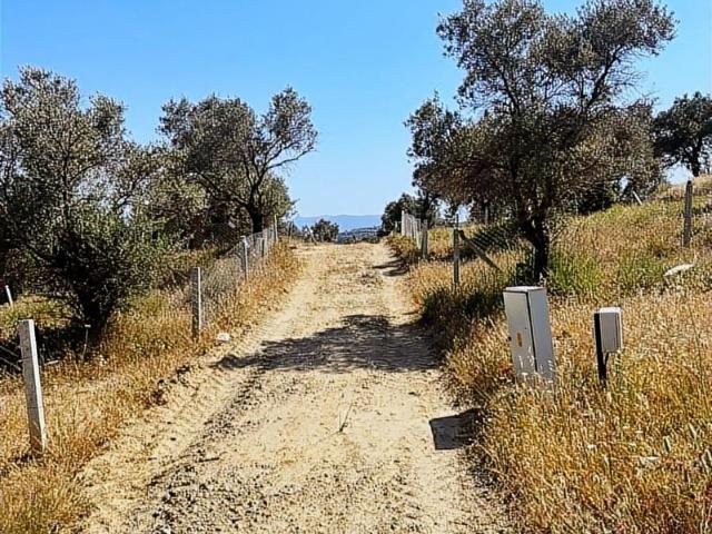 İzmir Merkez içerisinde satılık Tarla İzmir Merkez içerisinde satılık Tarla