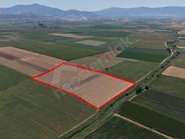 Torbali, İzmir içerisinde satılık Arsa