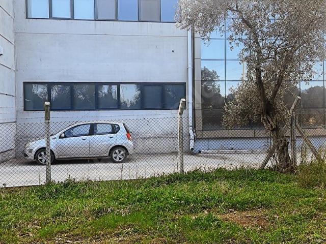 Çamlıca Mahallesi, Torbalı içerisinde satılık Arsa
