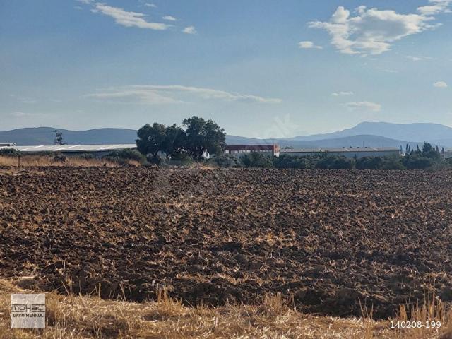 Torbali, İzmir içerisinde satılık Arsa
