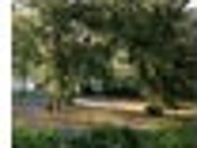 Apartment for rent in Whangaparaoa, Oroua County