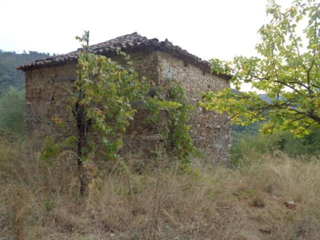 Terreno in vendita a Torchiara, Campania