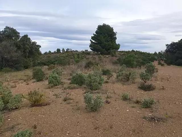 Terrain vente à Céret, Tordères