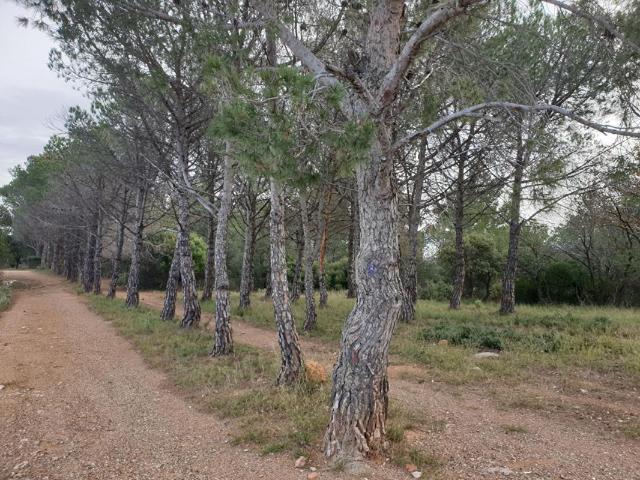 Terrain vente à Céret, Tordères
