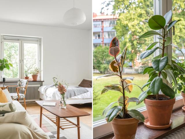 Bostadsrätt till salu i Innerstaden, Malmö