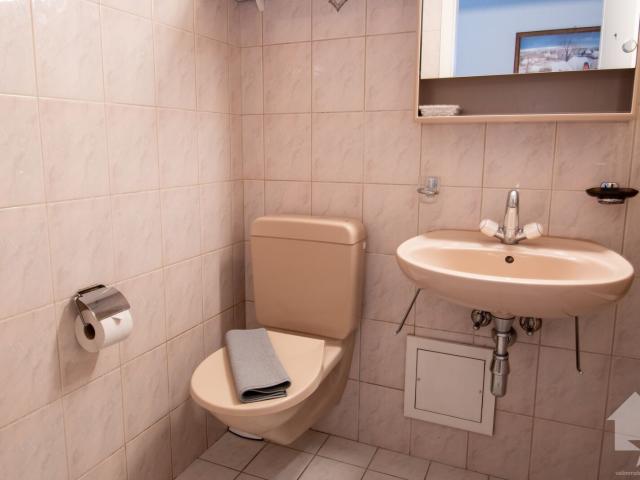 Apartment kaufen in Vionnaz, Wallis