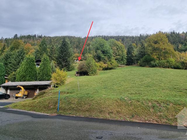 Immobilie kaufen in Vionnaz, Wallis