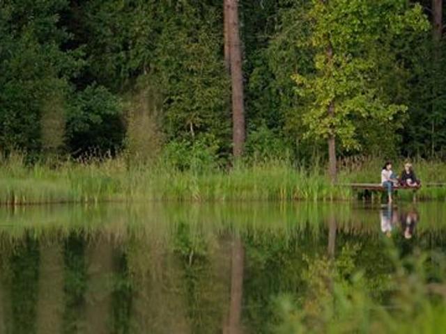 Недвижимость продажа в Сдт Сосенки Дп