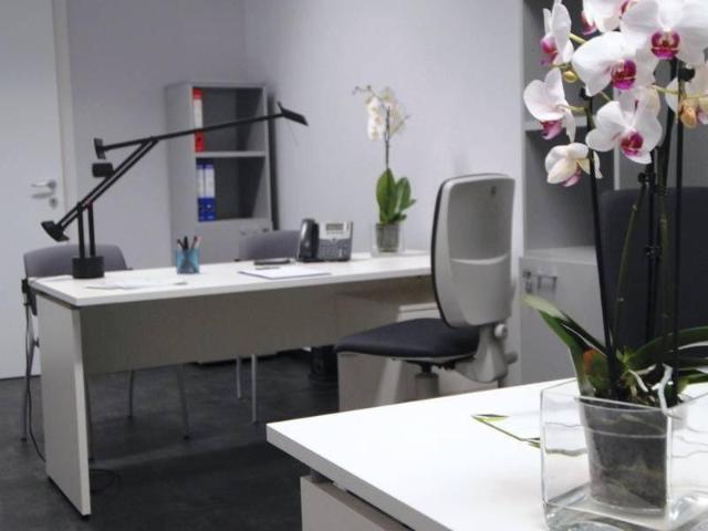 Ufficio in affitto a Piemonte, Torino