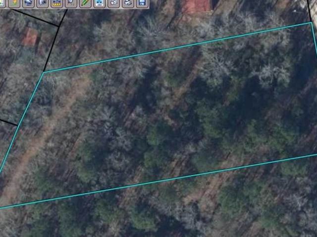 Land for sale in Bamberg, South Carolina