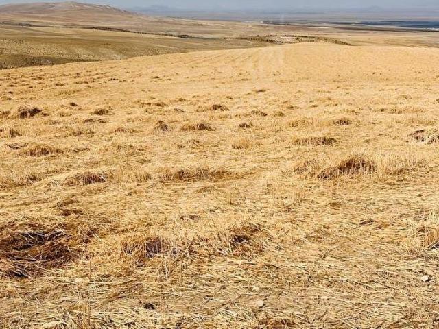 Niğde içerisinde satılık Arsa
