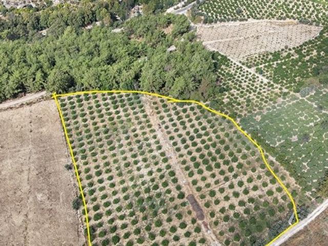 Işıktepe, Toroslar içerisinde satılık Arsa