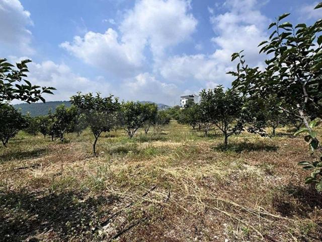Toroslar, Mersin içerisinde satılık Arsa