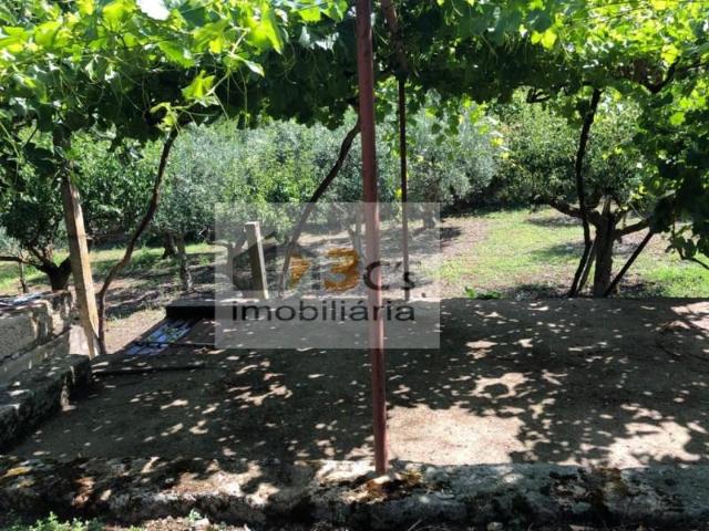 Terreno venda em Torre De Moncorvo, Bragança