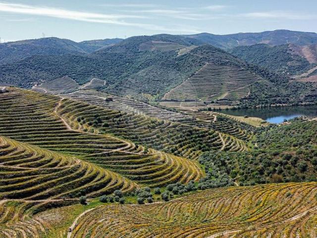 Terreno venda em Torre De Moncorvo, Bragança