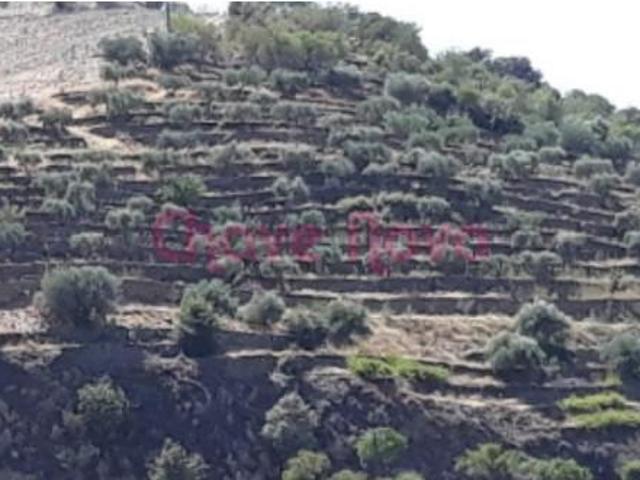 Terreno venda em Torre De Moncorvo, Bragança