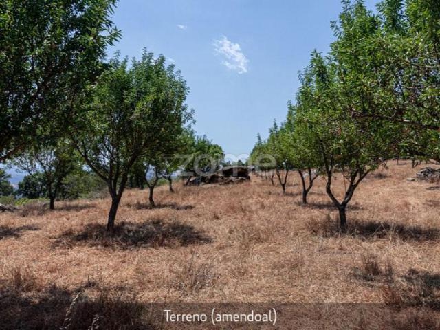 Terreno venda em Torre de Moncorvo