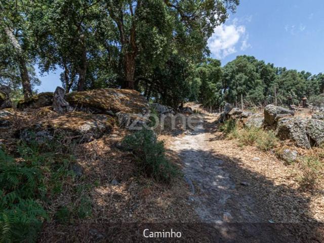 Terreno venda em Torre De Moncorvo, Bragança